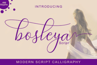 Bosleya: A Handwritten Font for Modern Web Design