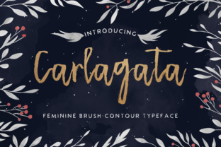 Carlagata: A Handwritten Font for Makers