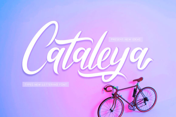 Cataleya: A Modern Script Typeface for Branding