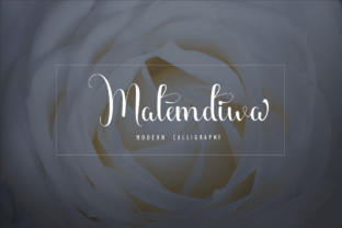 Malemdiwa: A Designer’s Honest Review for Real Projects