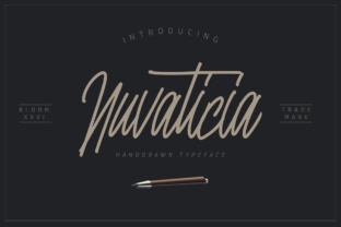 Nuvanticia: A Playful Script Font for Web Design